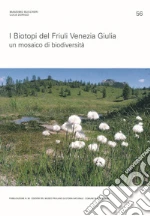Buccheri Massimo; Luca Dorigo