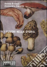Brunori Andrea; Cassinis Alessandro