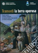 Di Martino C. (cur.); Sorrentino M. C. (cur.)