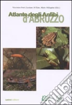 Ferri V. (cur.); Di Tizio L. (cur.); Pellegrini M. (cur.)