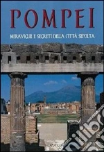 Jacobelli Luciana; Amitrano P. (cur.)