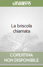 Brini Gianfranco; Brini Massimo