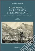 De Stephanis Pietro; Orsini P. (cur.)