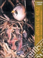 Gorreri Luca; Simoncini Yuri
