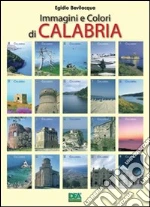 Bevilacqua Egidio