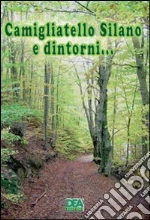 Bevilacqua Egidio