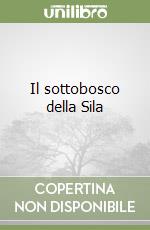 Bevilacqua Egidio