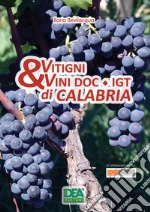 Bevilacqua Ilaria