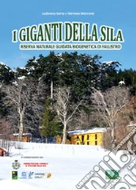Serra Ludovico; Morrone Herman
