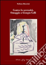 Braccini Stefano