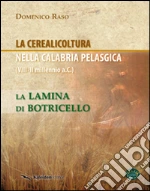 Raso Domenico