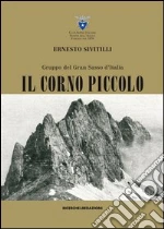 Sivitilli Ernesto