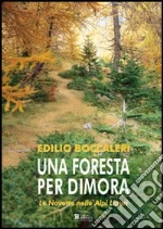 Boccaleri Edilio