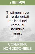De Rubertis Nicolino; Vincelli A. (cur.)