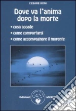 Boni Cesare