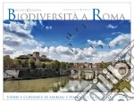 Cignini Bruno; Ingrassia G. (cur.)