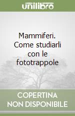 Forconi Paolo; Di Martino Vincenzo; Forlini Piero
