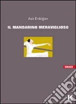 Erdogan Asli