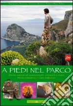 Focarino Giampiero; Puleo G. Battista; Puleo Rosa