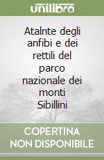 Fiacchini David