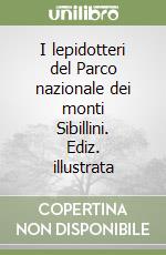 Baldelli Teo