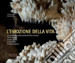 Bolognini Maurizio; Bolognini Mauro