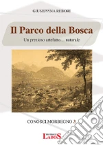 Rebori Giuseppina