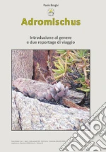 Borghi Paolo; Cristini M. (cur.)