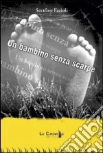 Fazioli Serafino