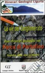 Corsi Barbara