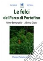 Bernardello Remo; Girani Alberto