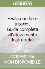 Li Vigni Fabrizio; Licata Fulvio