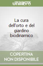 Pistis Paolo; Forni D. (cur.); Antonini E. (cur.); Baldoni D. (cur.)