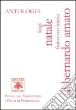 Di Bernardo-Amato Francesco M.; Natale Luigi; Cantarutti L. (cur.)