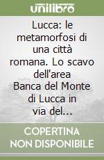 Ciampoltrini Giulio; Giannoni Alessandro; Zecchini Michelangelo