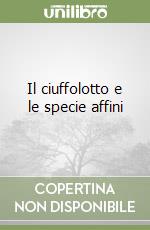 Scarpa Daniele