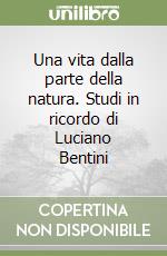 Piastra Stefano