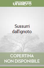 Festa Amerigo