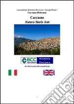 Panzeca Giovanni; Campisi Domenico