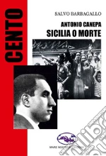 Barbagallo Salvo