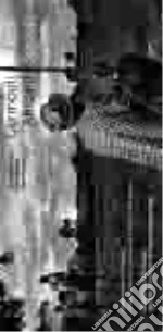 Bronzini Luca; Bonomo Manuel; Piazza Mario; Nassini F. (cur.)