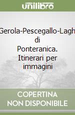 Mazzoni Gianpiero; Scetti S. (cur.)