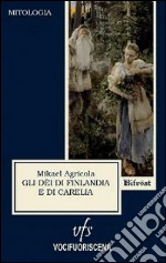 Agricola Mikael; Giansanti D. (cur.)