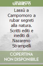 Lorenzetti Roberto