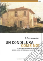 Pietramaggiori F.