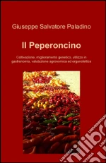Paladino Giuseppe Salvatore