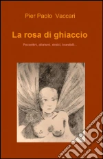 Vaccari P. Paolo