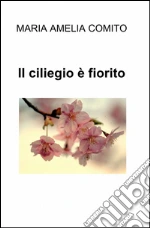 Cmito Maria Amelia
