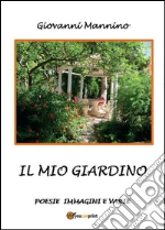 Mannino Giovanni
