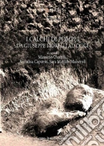 Osanna M. (cur.); Capurso A. (cur.); Masseroli S. M. (cur.)